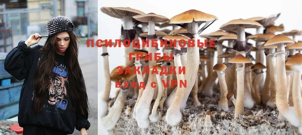 МДМА Бородино