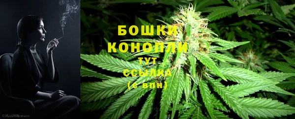 экстази Богданович