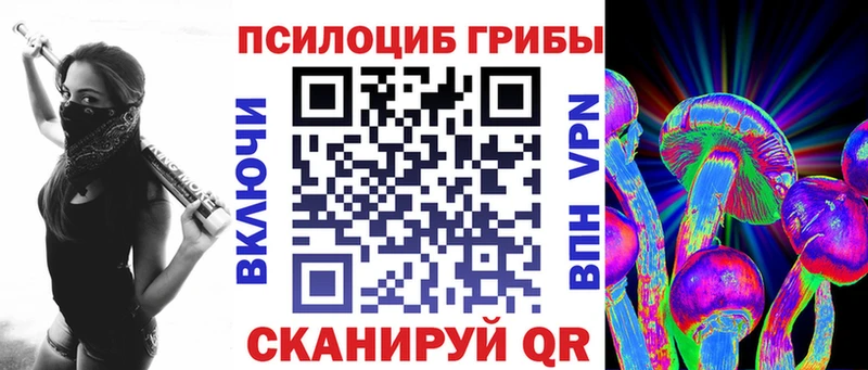 дарк нет клад купить наркотики сайты Жуков Псилоцибиновые грибы MAGIC MUSHROOMS